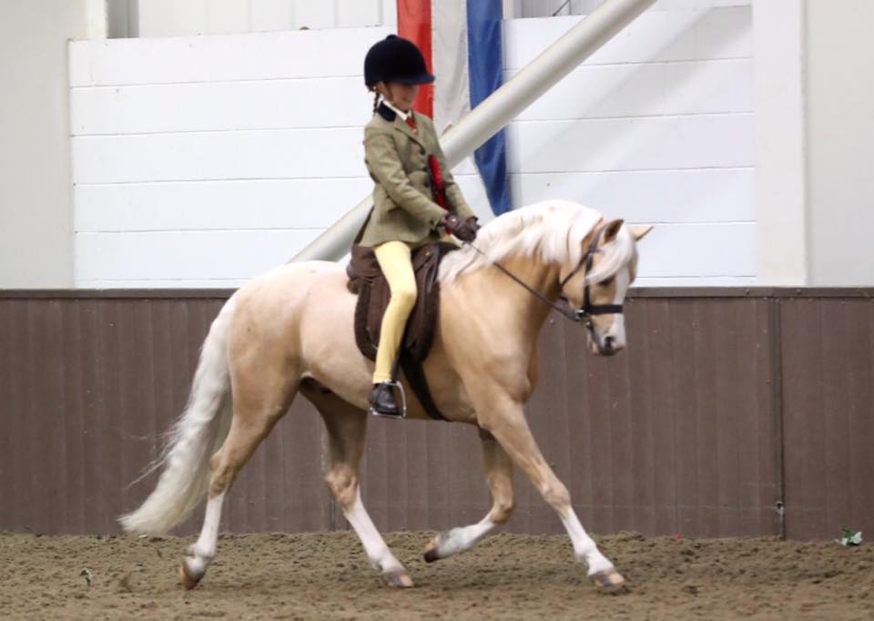 Kate Hewson and Newoak Jester