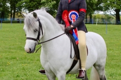 Freya Wilson & Willowdown Verity