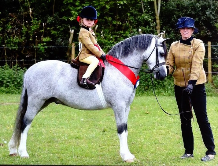 Maisie peters and Amilas Mendelsshon