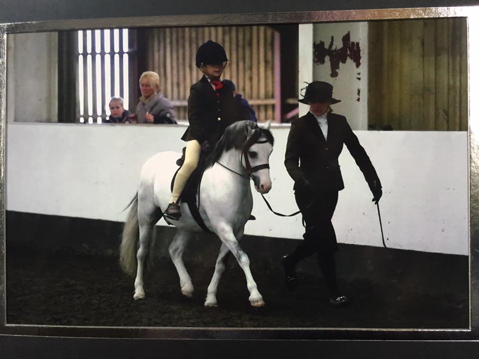 Thistledown Love Knot and Brodie Birtwell