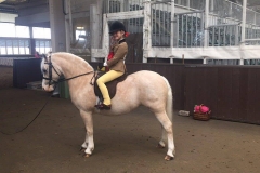 Nantdywyll Caramel and Livie Archer-Andrews