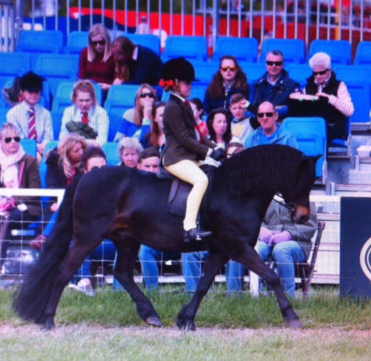 Hisley Carnival and Annabel Drake