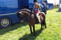 Rochedo Beach Bandit and Sophie Stiles