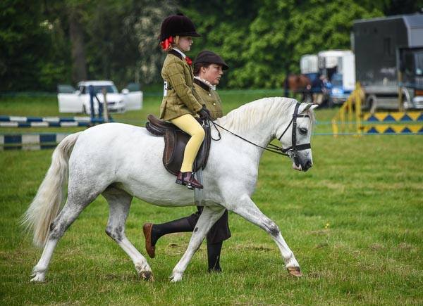 Colne Pookie ridden by Darci Campbell