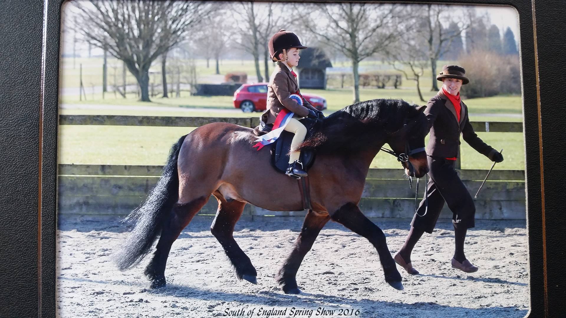 Pumphill fandango Rider Toby johnstone