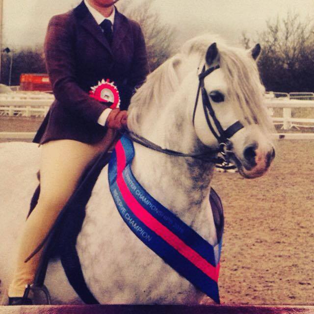 Wintersend Nimbus Rider Abby Louise Marshall