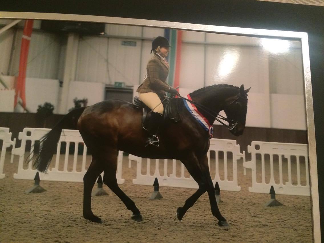 Hollie crowe and warleigh illusion