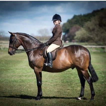 Katie Ashcroft and Brindlebrook Under Suspicion
