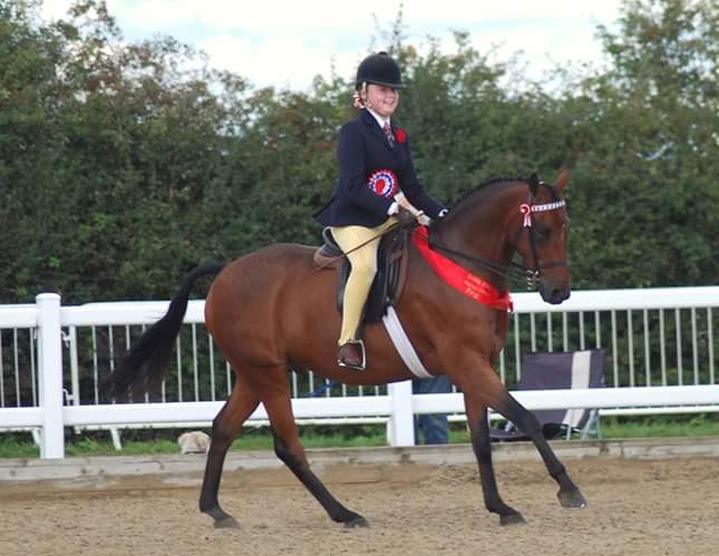 Ellie Morgan Conway & Raemoir Masterplan