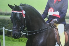 Gracie Mccaffrey on Popalbee temptation