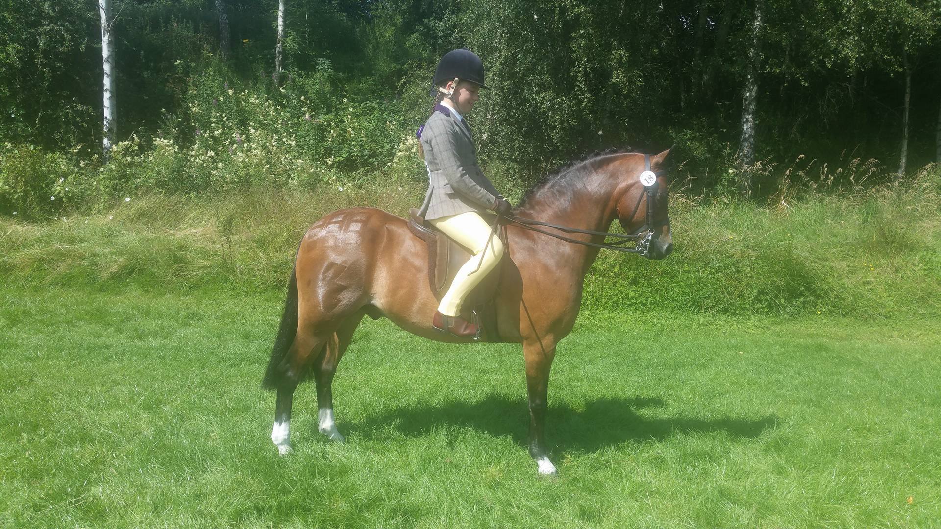 Bonnie Follows and Superted  II
