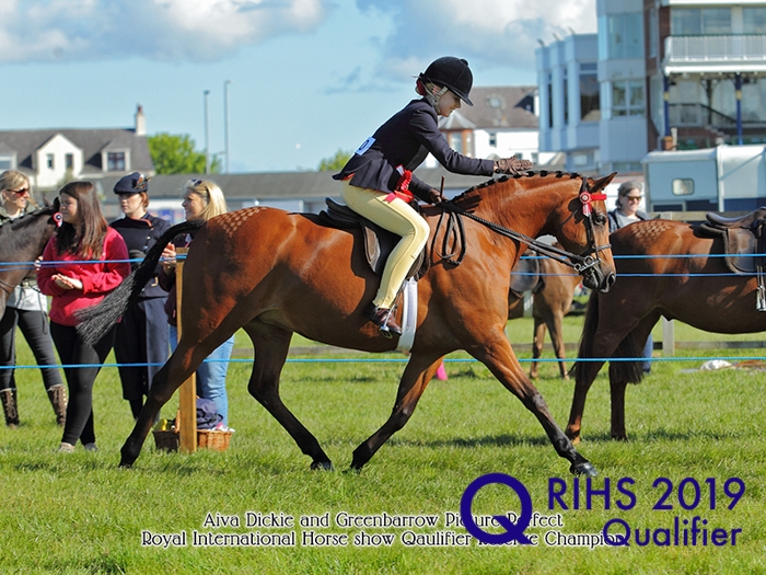 Aiva Dicki and Greenbarrow Picture Perfect