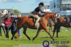 Aiva Dicki and Greenbarrow Picture Perfect
