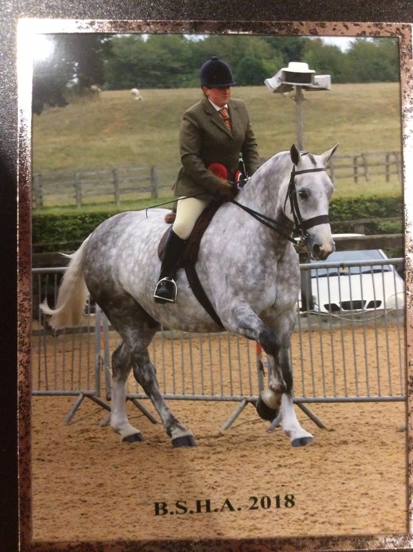 Kathryn Riddle and Corrabaun Kingdom