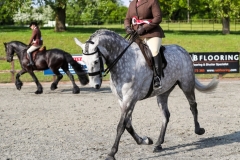 Victoria Oliver and Craughwell Strawberry Lad