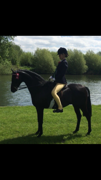 Georgia Aungier and Stanley Grange Sophisticat