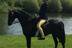 Georgia Aungier and Stanley Grange Sophisticat
