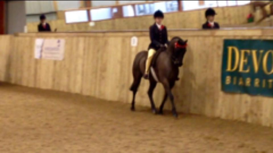 Madison Louise Dalley and Archwood Romeo Gigle