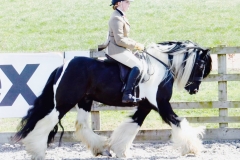 OFF SHOT and Eleanor Morrisroe