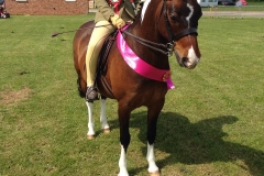 Georgie Cooke and Baliter Query