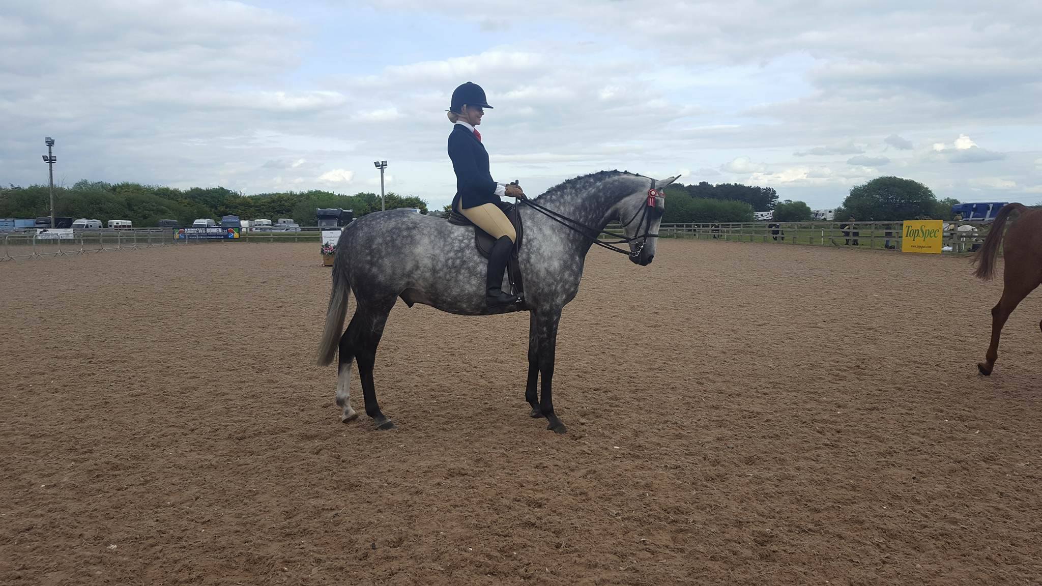 Holly creek sir benson owned and bronte ritchie