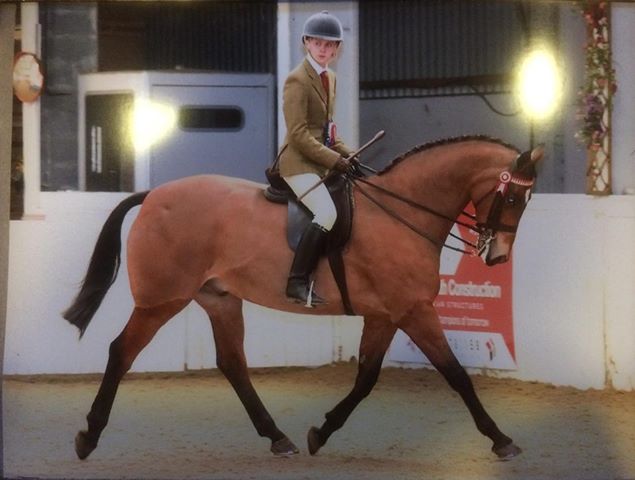 Glen Allen and Helsington Tailor made