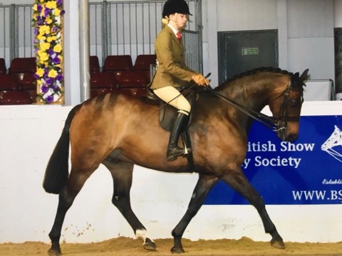 Mia Brown riding Brook Patats