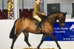 Mia Brown riding Brook Patats