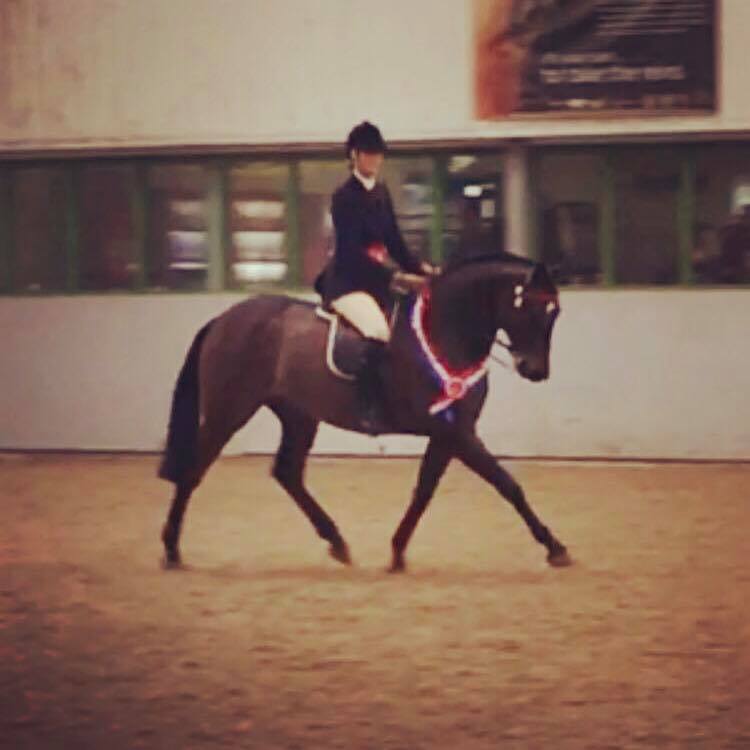 Parkgate Royal Visit William and Emma Dewhurst