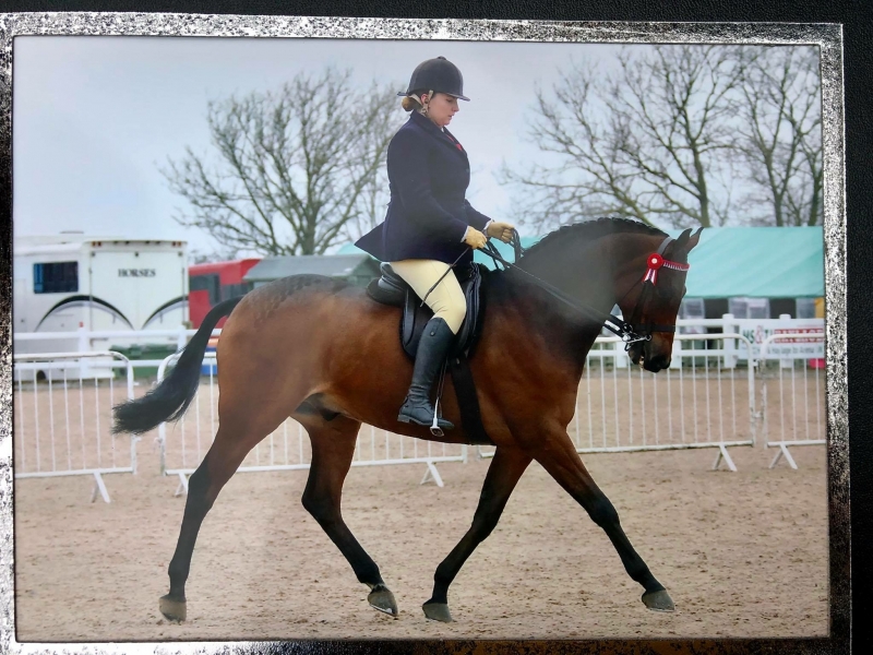Sophie Clohessy and Drakemyre Debonair