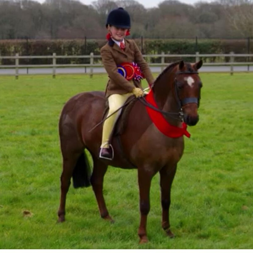 Newoak Dreamaker rider Tori Dymond