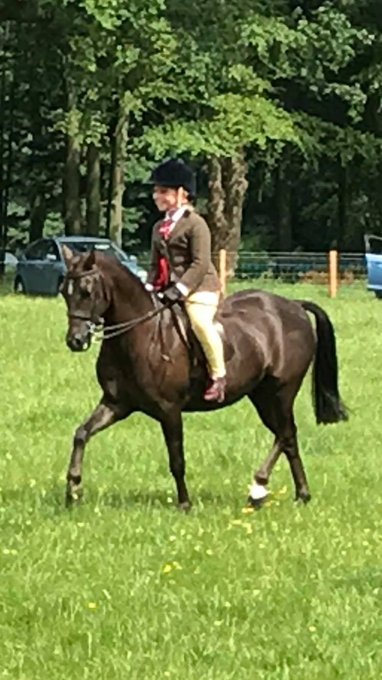 Cookshill voyage of dreams and poppy brown