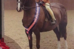 Gryngallt Picture Frame and Eugenie Godfrey-Faussett