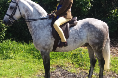 Isabelle Wilmot and May Day Lad