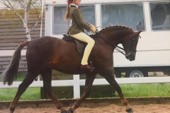 Lola Bass and Annandale Minstrel