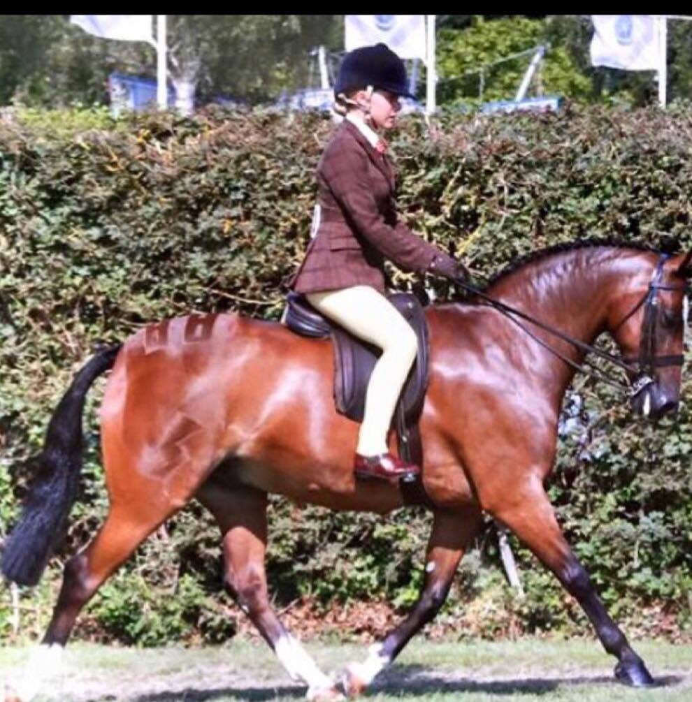 Lucie Gordon Burgess and Bassano Prince Of Thieves