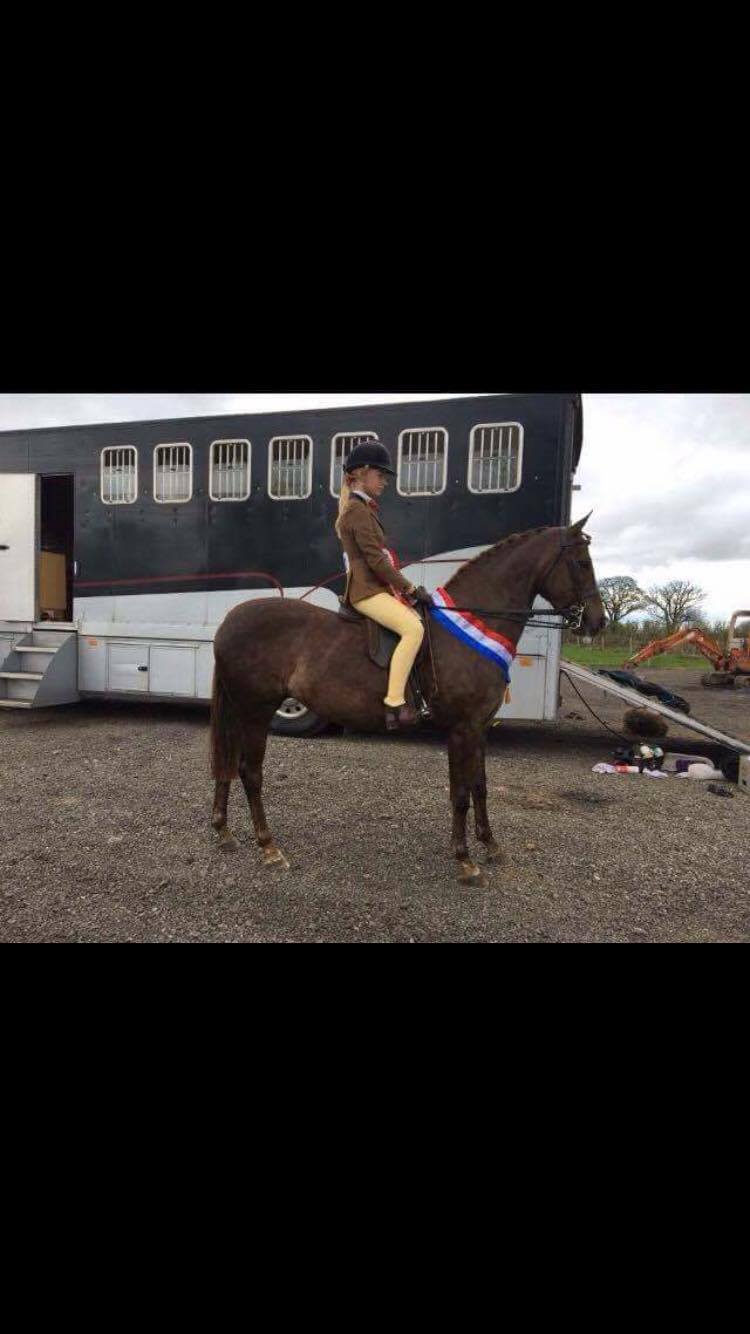 Tremarl Bumble Bee & Ellie Kirkbride