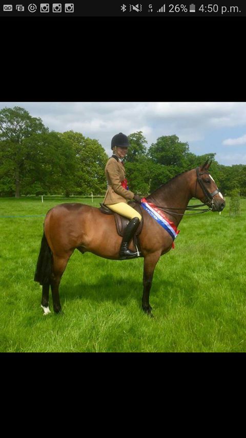 Brindlebrook little scoundrel and Mia brown