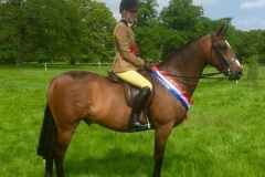 Brindlebrook little scoundrel and Mia brown