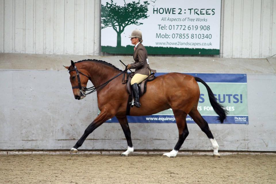 Cavalier choice Rider Danielle Heath