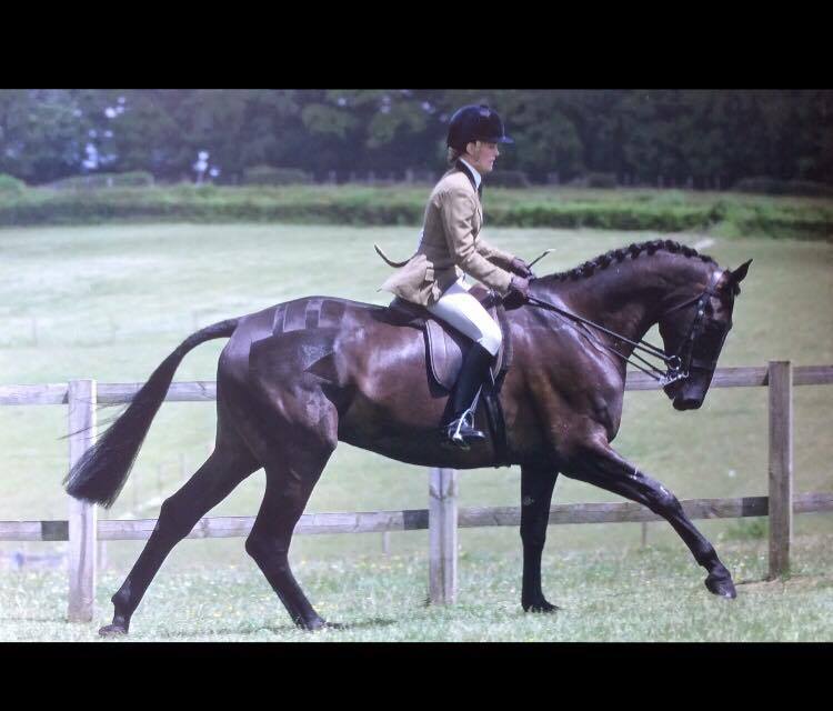 Decorum and L Robertson