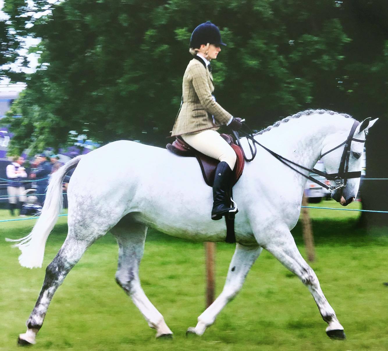 Tillington Diamond and Alicia Bulmer