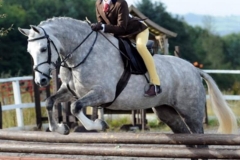 Abbie stewart and Killaughey Golden Cascade