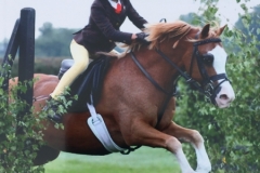 Gracie Aungier and Friars Gold Fever_