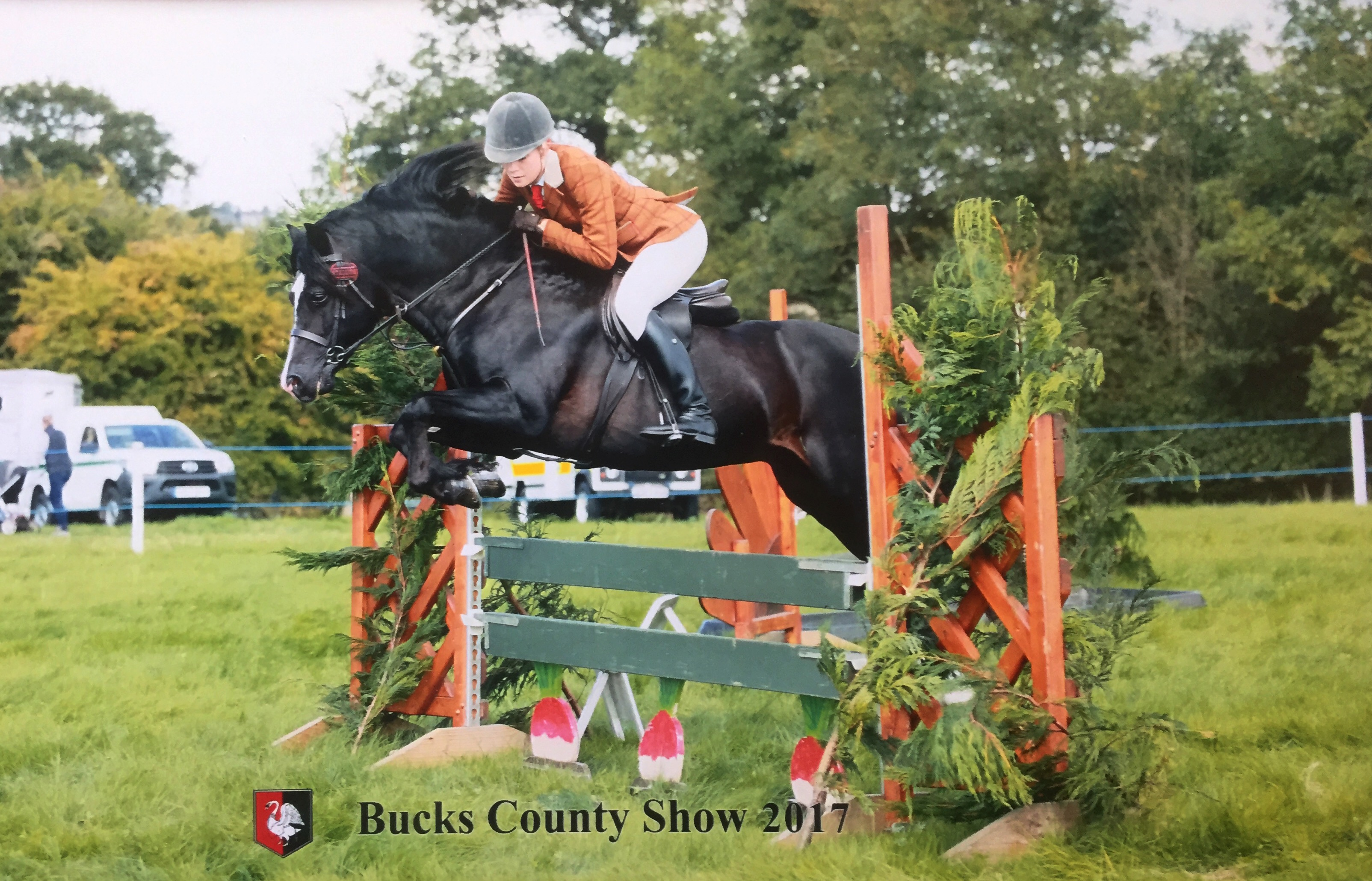 Ellis Priestley Horse:Pony Tysgubor Owain