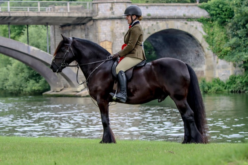 Chantelle-Chapman-and-Greenholme-Falcon