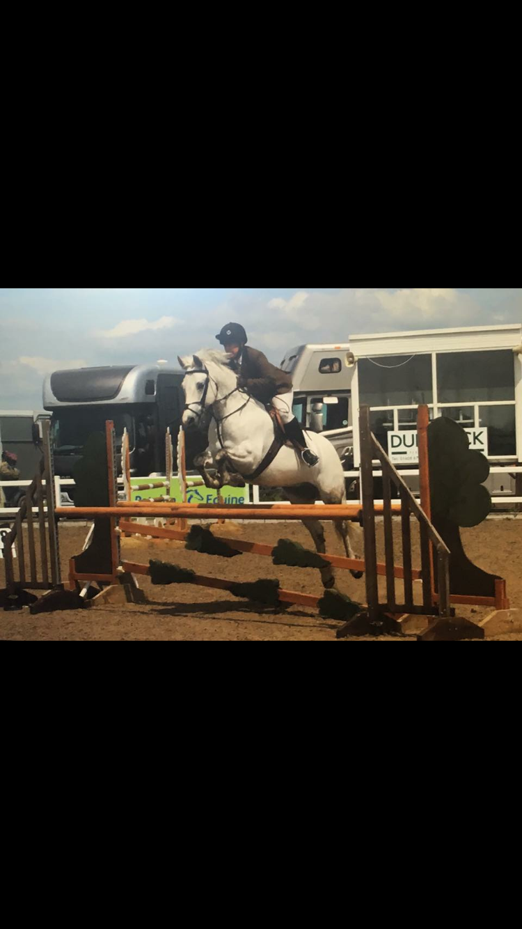 Helen Taylor Horse:Pony Derrartha Lad