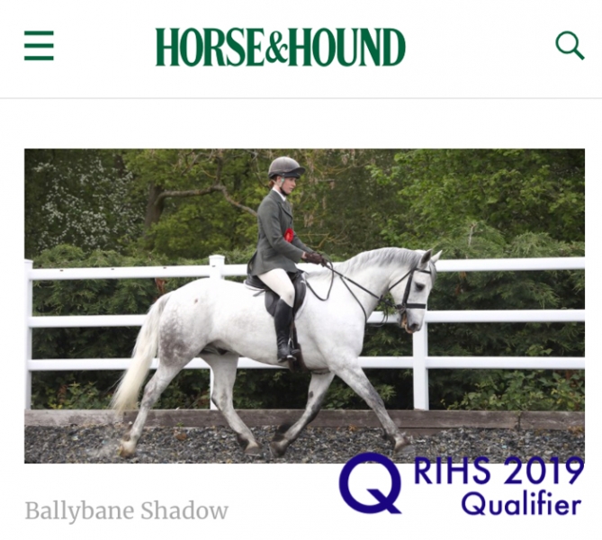 Becca Norris and Ballybane Shadow