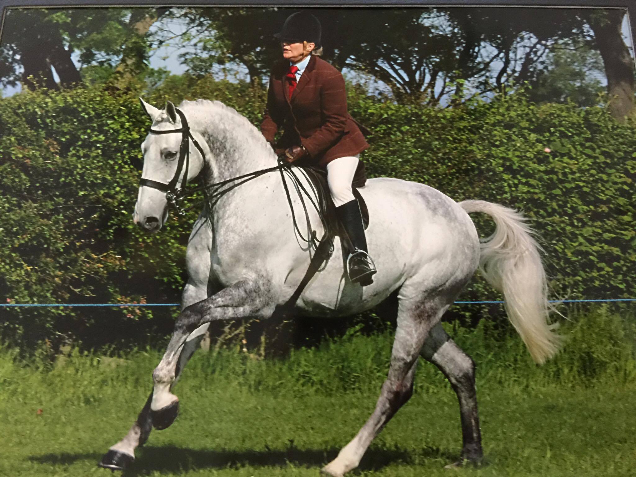 Glenda Gosling and Faraon De la Diligence