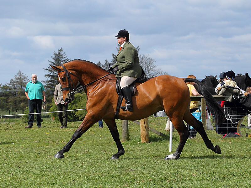 Encore VI and Sarah tait